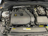 Volkswagen Golf 1.5 eTSI Mild-Hybrid